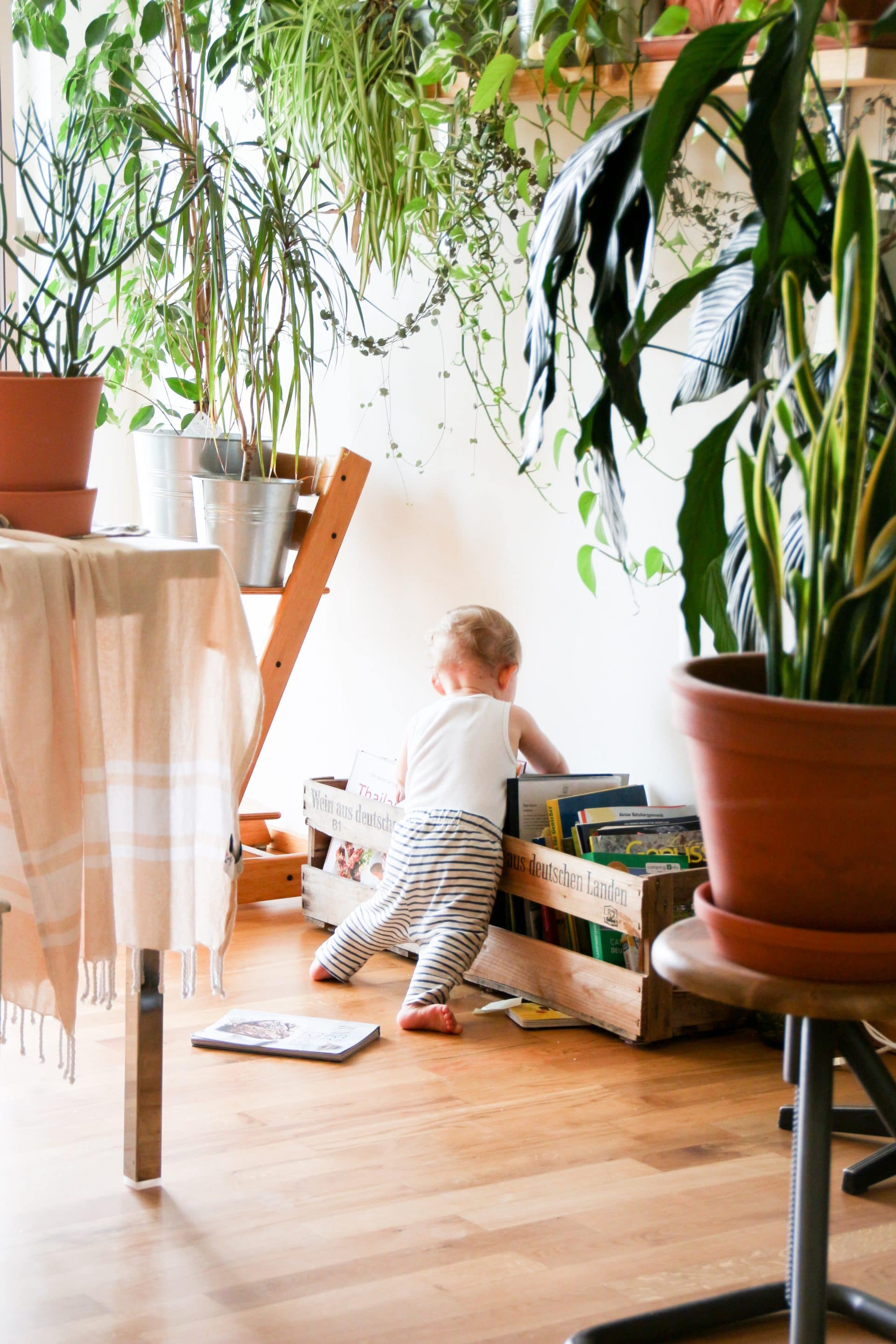 enfant-garde-credit-reduction-impot-particulier